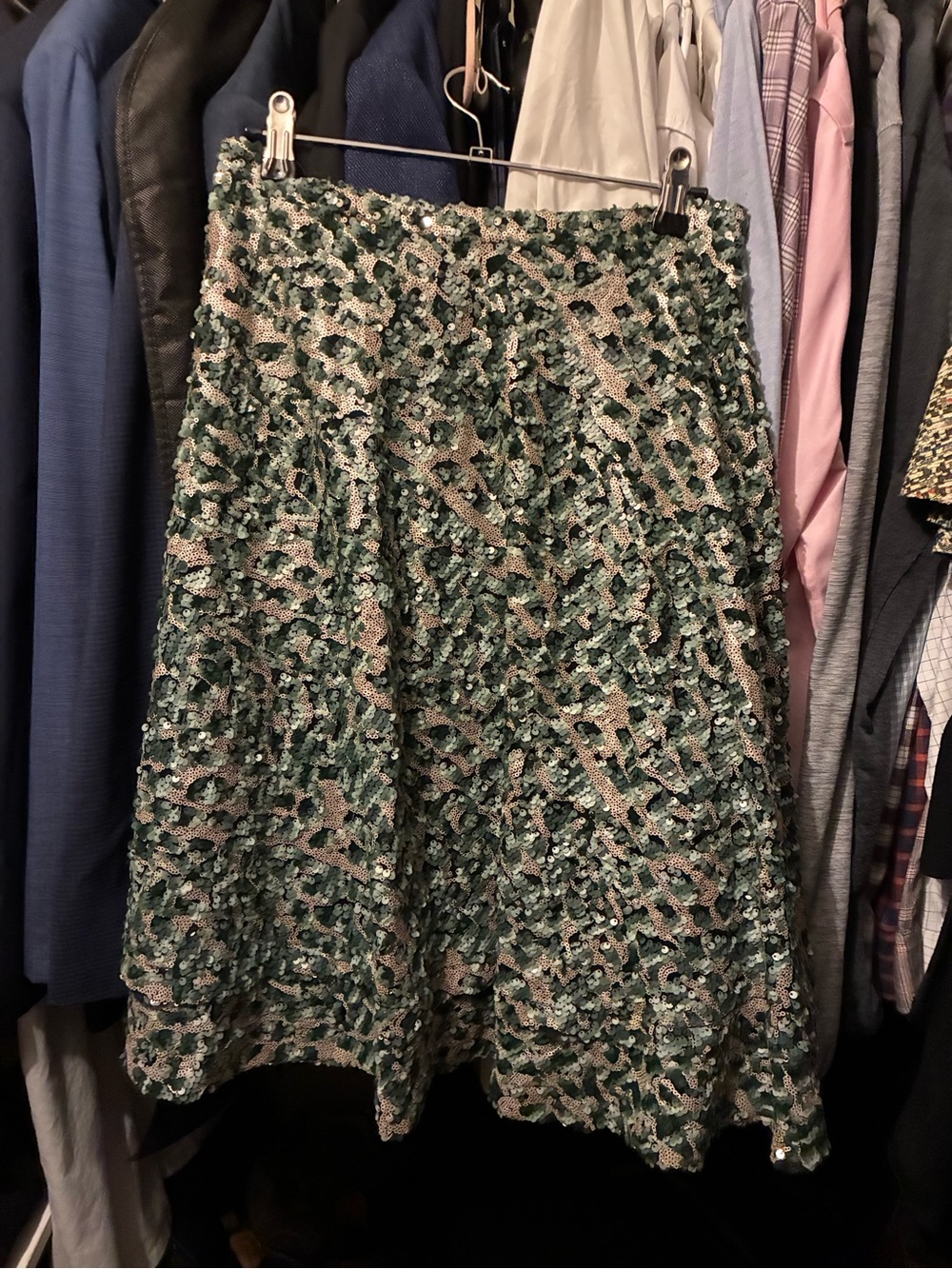 Sequin A-Line Skirt in Green